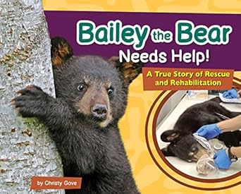 Bailey the Bear Needs Help by Christy Gove