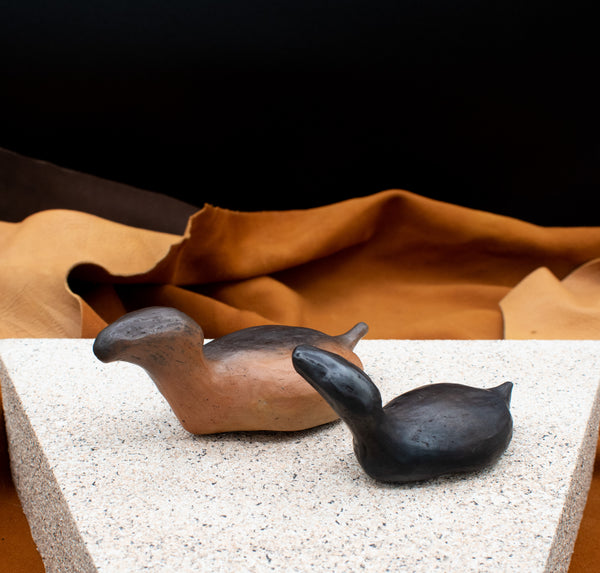 Swimming Turtles by Kent Harris