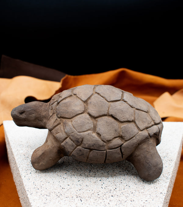 Standing Turtle by Tony Bouler Jr