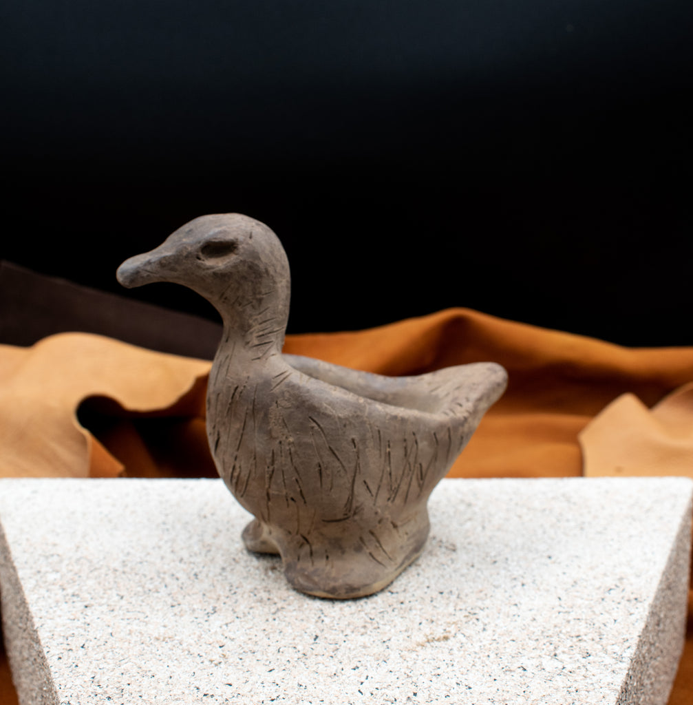Small Duck by Tony Bouler Jr