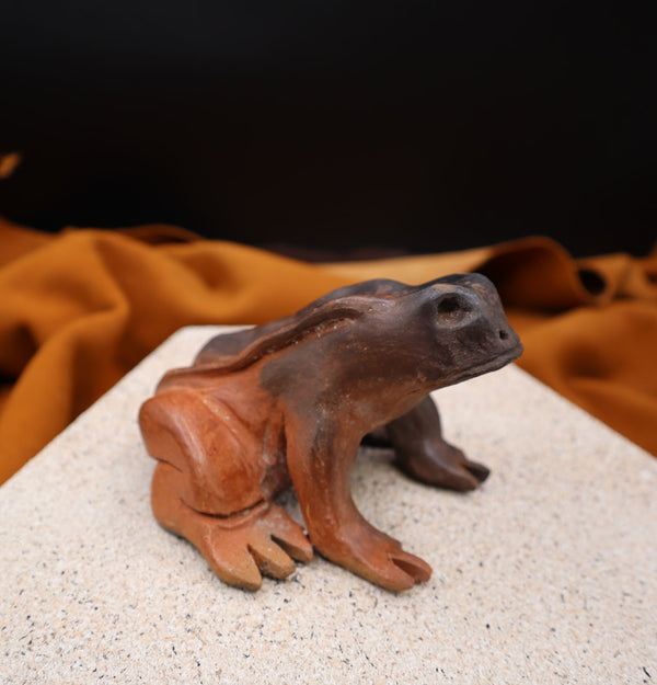 Frog by Jason Rogers