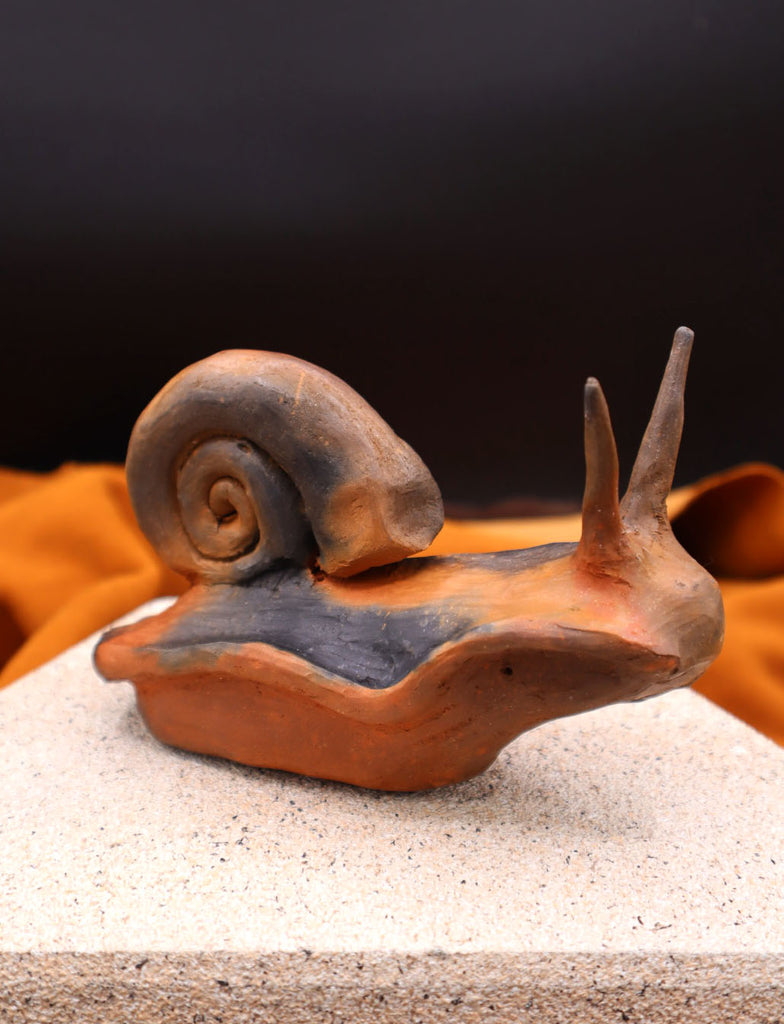 Snail by Jason Rogers