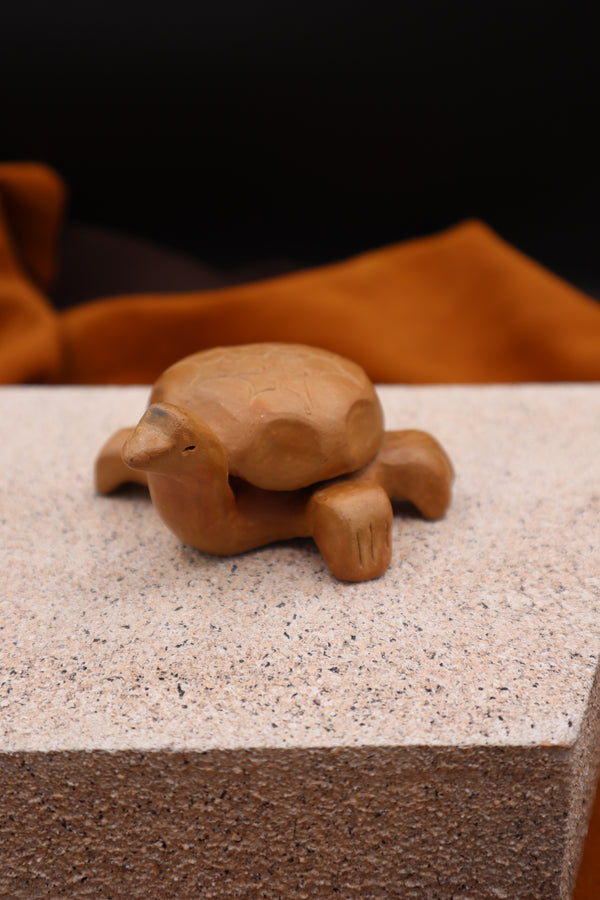 Standing Turtle by JoAnn Bauer