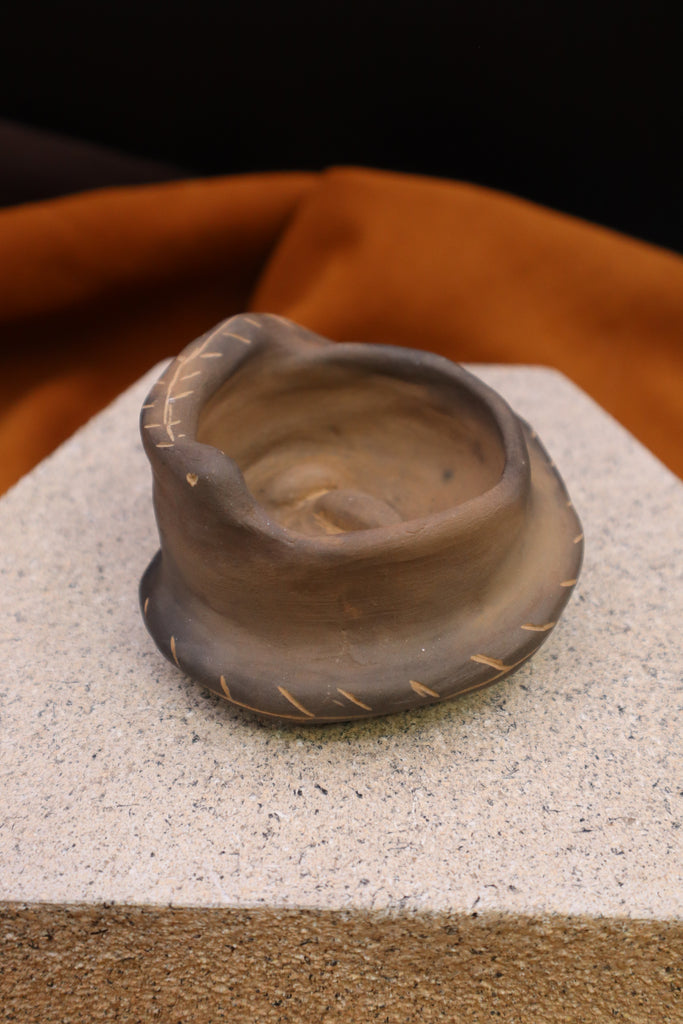 Snake Bowl by Amanda Wilson