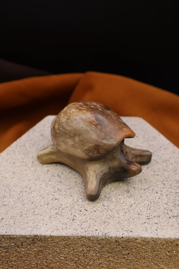 Turtle w/ Lid by Amanda Wilson