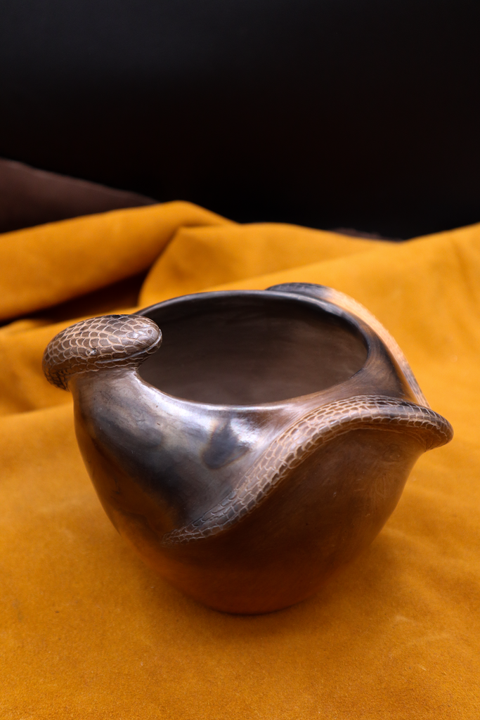Snake Bowl by Eric Canty