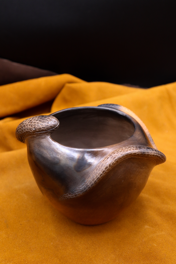 Snake Bowl by Eric Canty