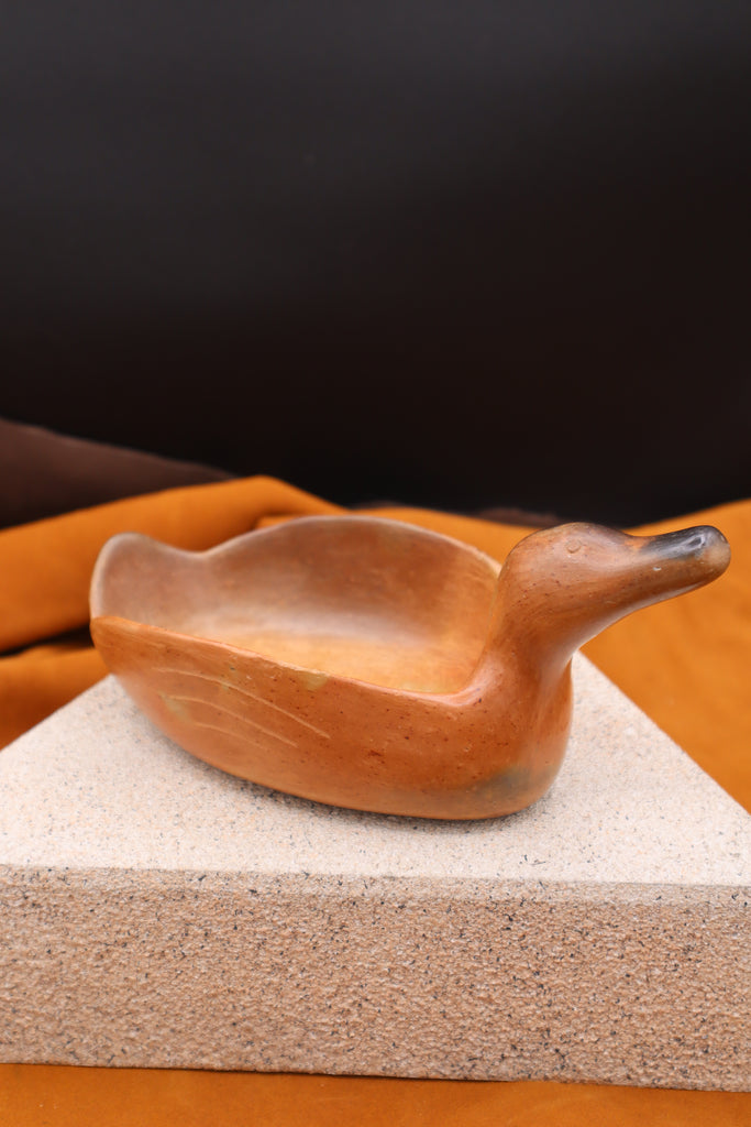 Duck Bowl by Cassondra Martin