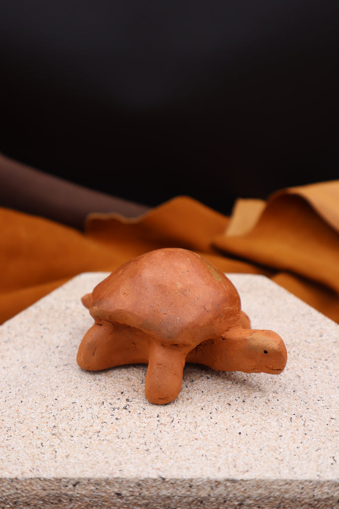 Turtle by Jason Rogers