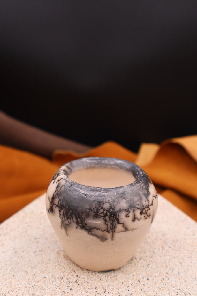 Horsehair Bowl by Jason Rogers