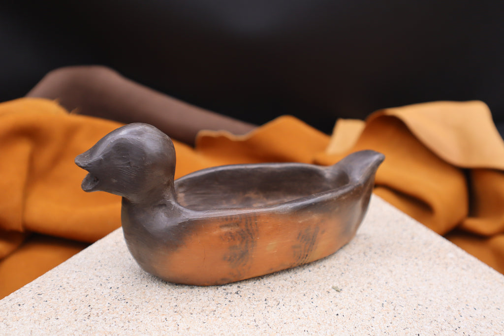 Duck Bowl by Jason Rogers