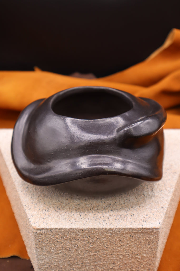 Snake Bowl by Nicholas Oates