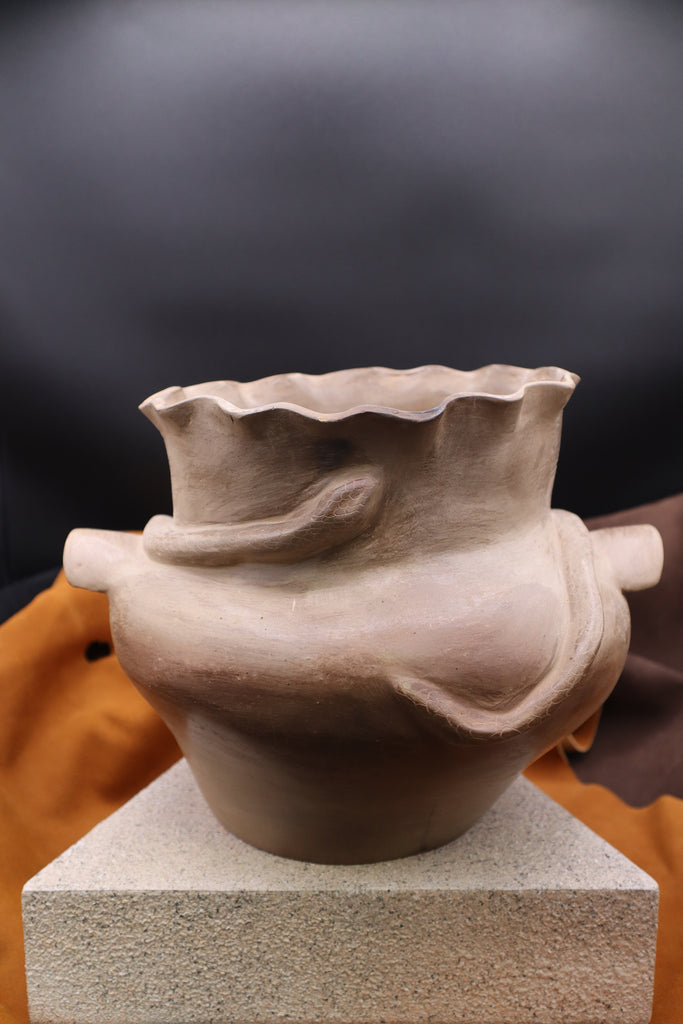 Snake Bowl by Hawk Sanders