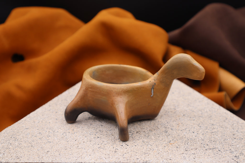 Turtle Bowl by Sarah Tucker