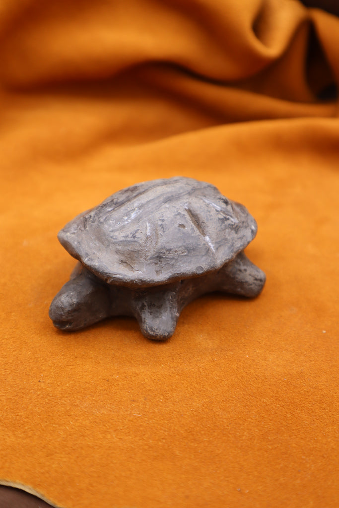 Turtle by Ken Wurdemann