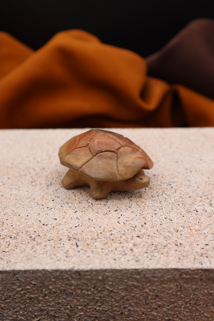 Turtle by Beckee Garris