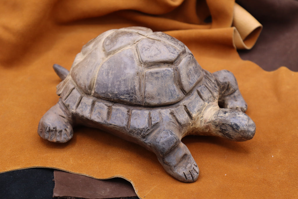 Turtle by Tony Bouler Jr