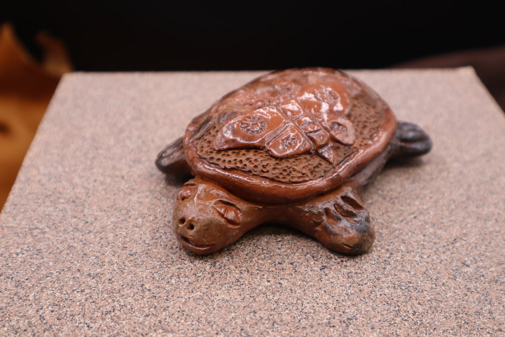 Turtle by Alex Boatwright