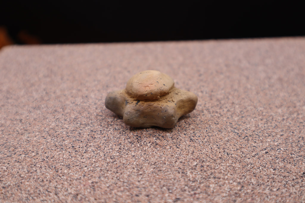 Mini Turtle by Alex Boatwright