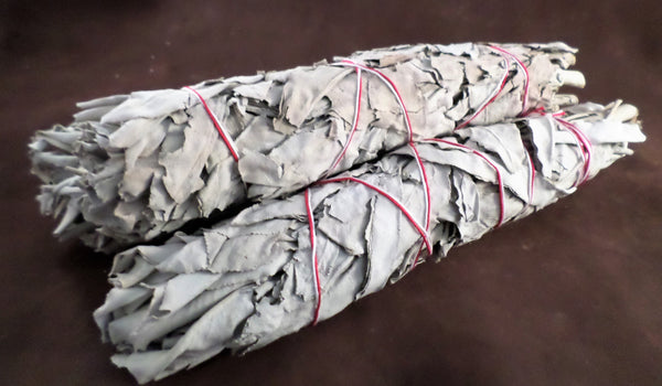 Large Bundle of Sage