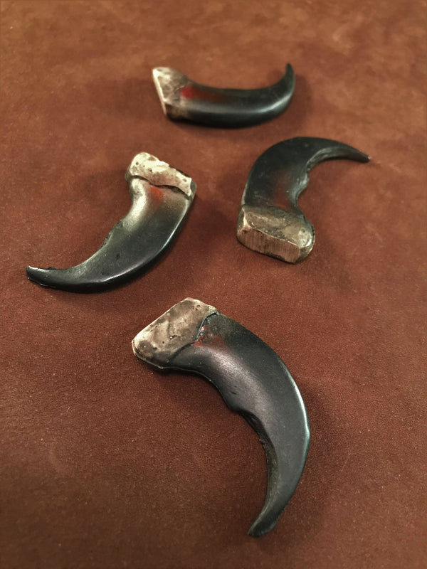 Bear Claws