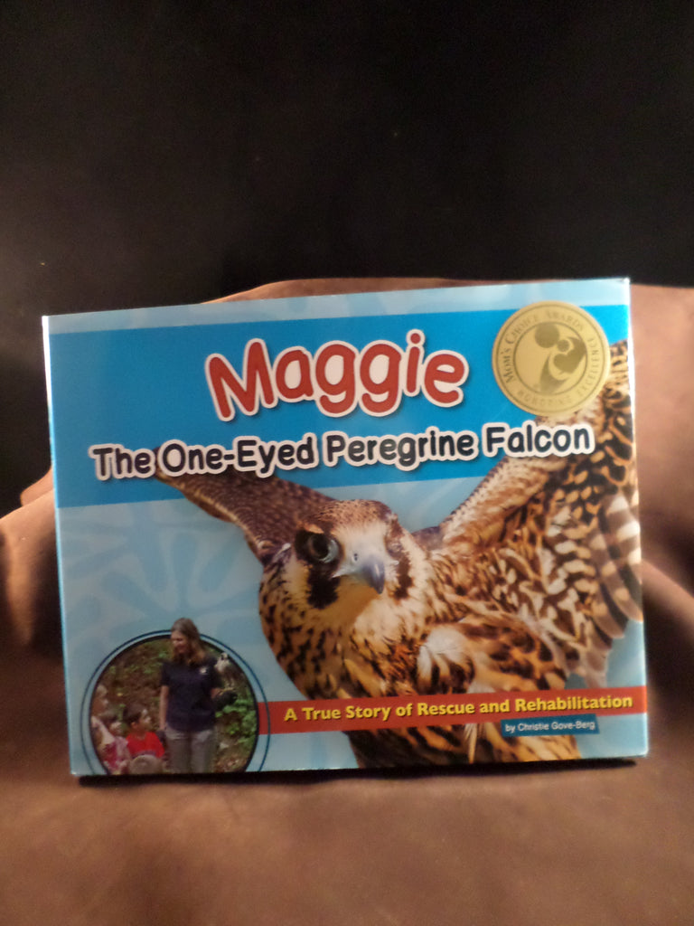 Maggie The One-Eyed Peregrine Falcon