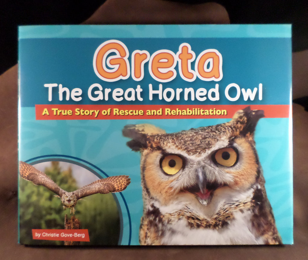 Greta the Great horned owl