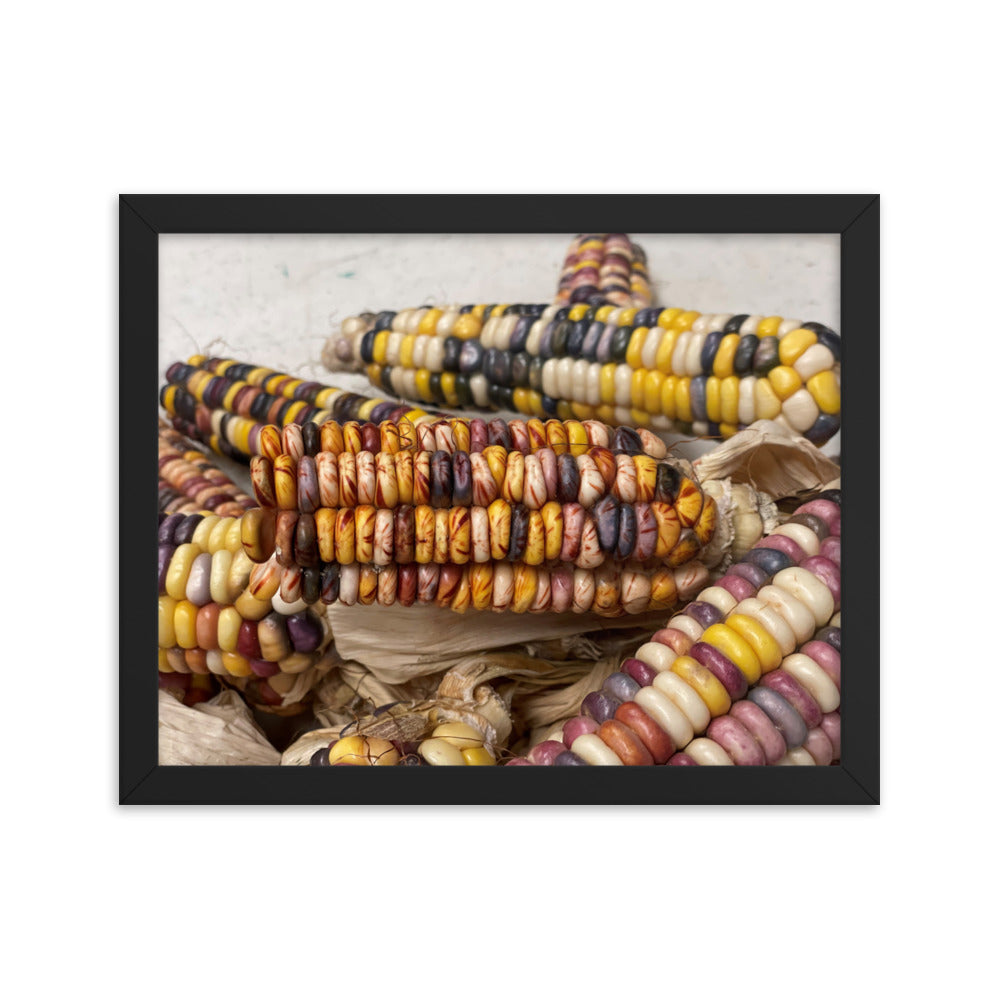 Catawba Corn Framed poster