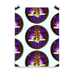 August Maypop Photo paper poster - design by DeLesslin George-Warren